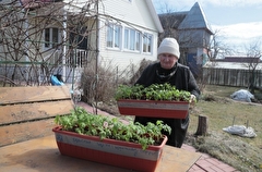 Вильфанд: в центральных районах европейской части РФ можно приступать к садово-огородным работам