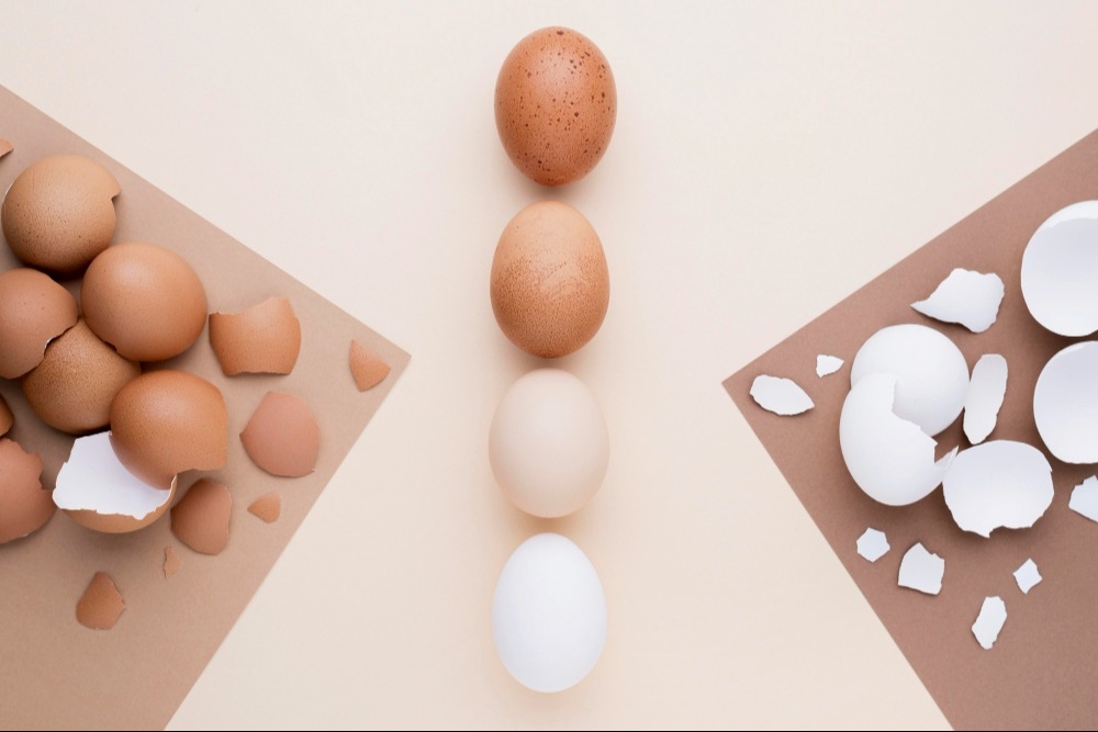 Яйца: польза и вред. Можно ли есть яйца каждый день?